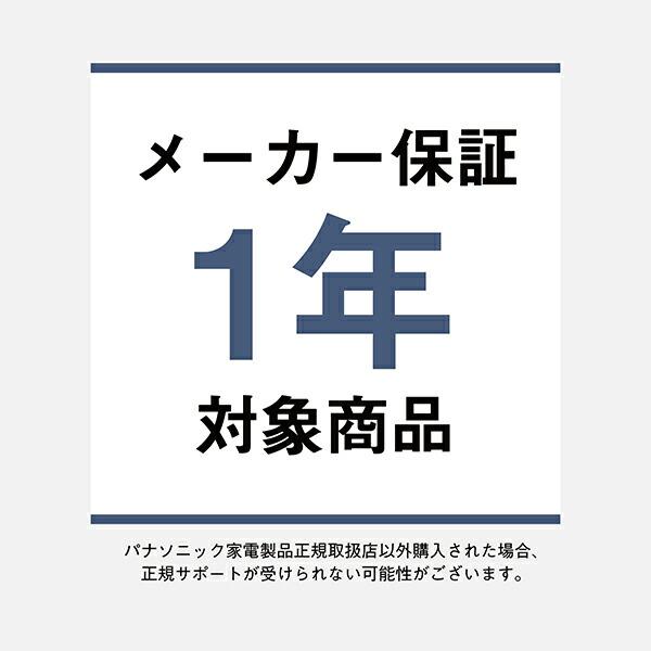 Technics 公式店 テクニクス 完全ワイヤレスイヤホン 選べる2色 Technics 公式店 テクニクス 完全ワイヤレスイヤホン 選べる2色