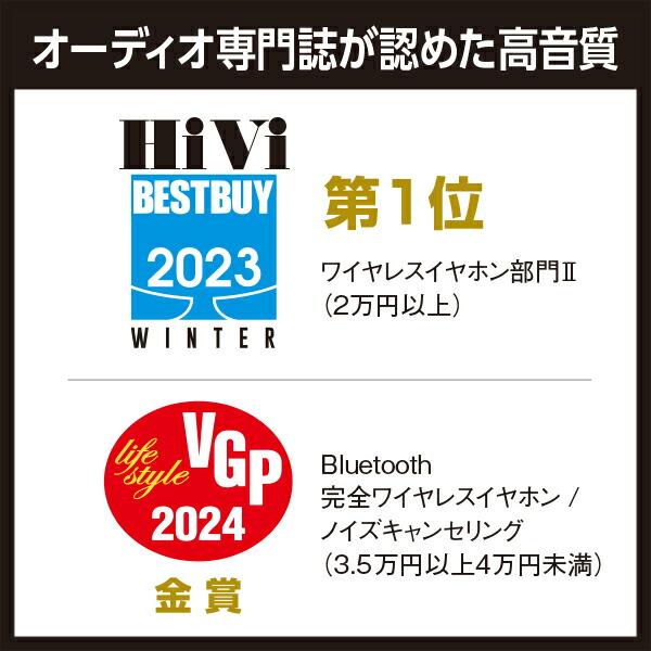 Panasonic 公式店 テクニクス 完全ワイヤレスイヤホン 選べる2色 Panasonic 公式店 テクニクス 完全ワイヤレスイヤホン 選べる2色