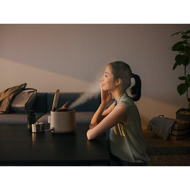 Panasonic 公式店 パナソニック スチーマーナノケア グレージュ Panasonic 公式店 パナソニック スチーマーナノケア グレージュ