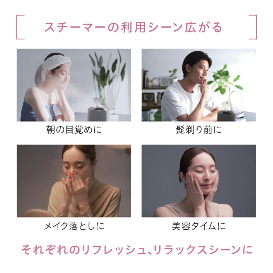 Panasonic 公式店 パナソニック スチーマーナノケア グレージュ Panasonic 公式店 パナソニック スチーマーナノケア グレージュ