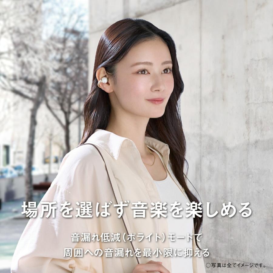 Panasonic（パナソニック） 公式店 イヤホン RB-C10 イヤーカフ型 上品