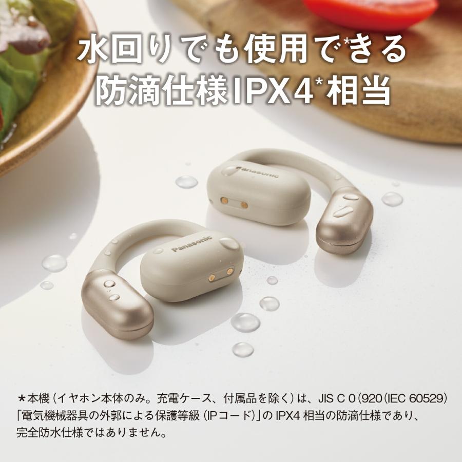 【美品】Panasonic RB-F10D ワイヤレスイヤホン パナソニック Panasonic RB-F10D – e☆イヤホン