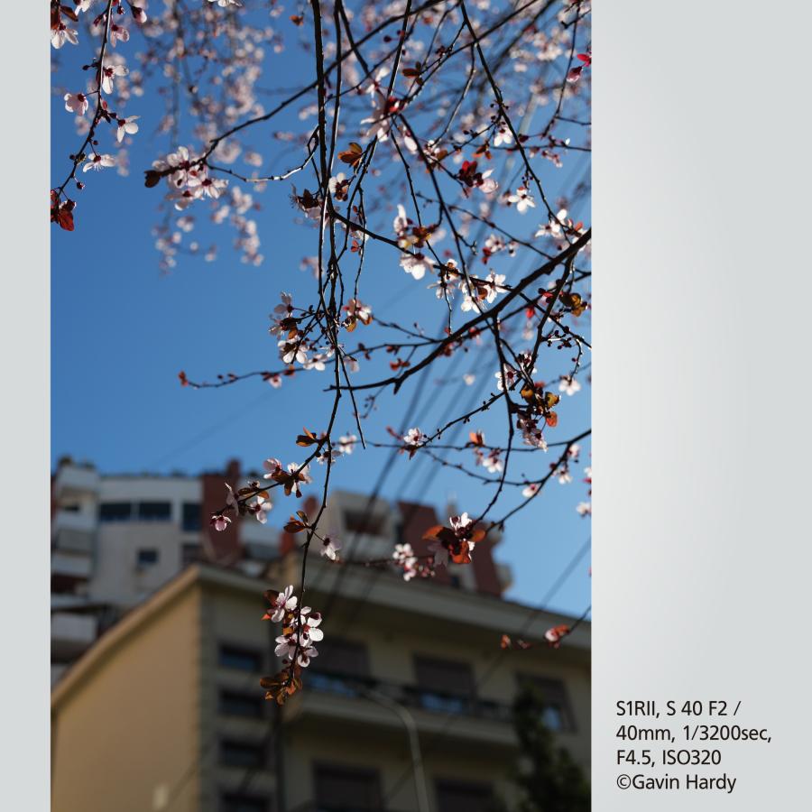 LUMIX Sシリーズ 公式店 パナソニック レンズ S-S40 焦点距離:40mm