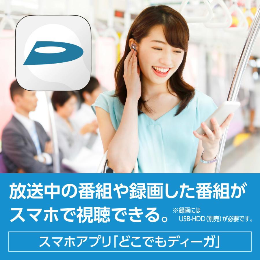 プライベート・ビエラ 公式店 パナソニック ポータブルテレビ UN-10E11