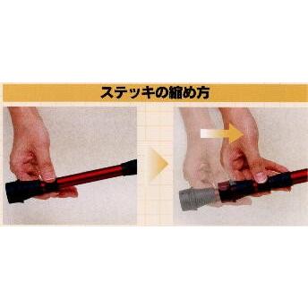 カーボン製フリーロック伸縮杖歩未ダークブルー |  | 01