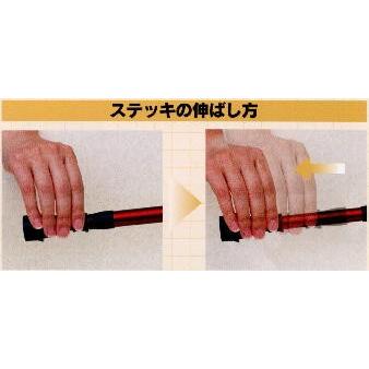 カーボン製フリーロック伸縮杖歩未ダークブルー |  | 02