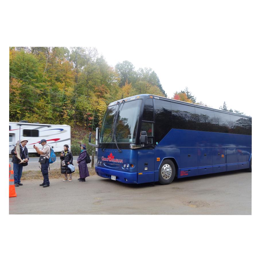 折りたたみ杖  男性 女性用 超軽量200gコンパクト22cmオールカーボン 折りたたみ伸縮杖 ブラック PC03＜当店オリジナル商品＞ |  | 06