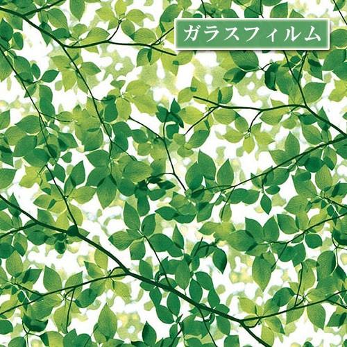 木 葉 Leaf 窓 ガラスフィルム 目隠し シート フィルム 水だけ簡単 巾92cm おしゃれ ウィンドウ インテリア 窓ガラス ウォールステッカー Uvカット Glass025 Pancoat 通販 Yahoo ショッピング