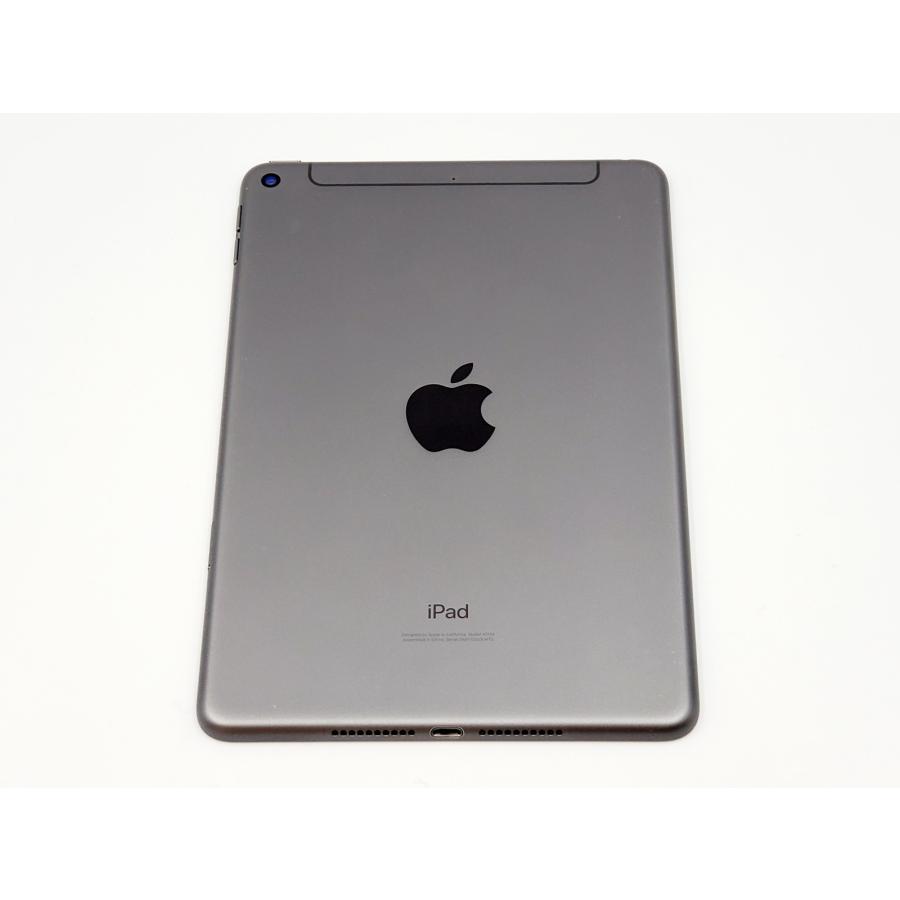 ipad mini 第5世代 SIMフリー】iPad mini 第5世代/256GB/A2124〈MUXC2J/A〉