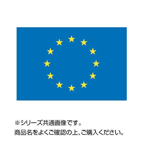 世界の国旗 万国旗 EU 70×105cm|b03 :4549081746910:パンダファミリー 
