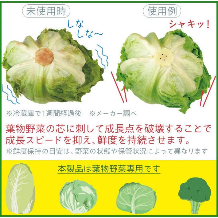 送料無料 野菜鮮度キーパー 2個組 B03 パンダファミリー 通販 Yahoo ショッピング