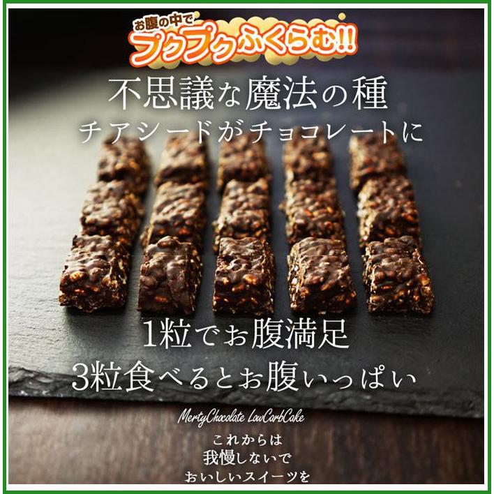 チアシードと玄米パフのローカーボチョコクランチ 500g B03 4571283953865 パンダファミリー 通販 Yahoo ショッピング