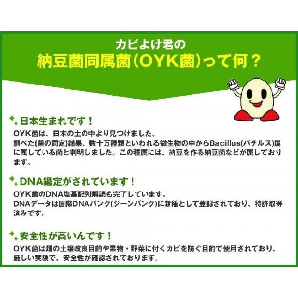 バイオでカビよけ君 窓ぎわ用 B03 パンダファミリー 通販 Yahoo ショッピング