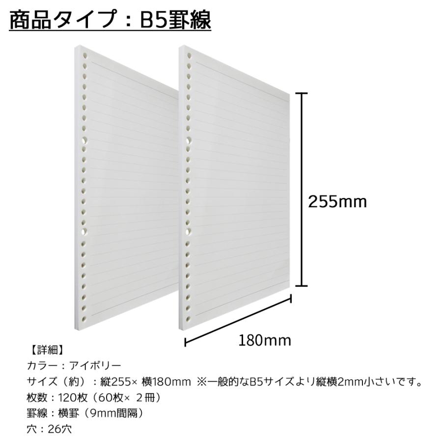 B5 26穴 システムノート用紙 60枚 2冊 リフィルルーズリーフ 高品質 厚地 罫線 ドット 方眼 無地 選べる種類豊富 1枚入り 単品 B01 D9paper002 パンダファミリー 通販 Yahoo ショッピング