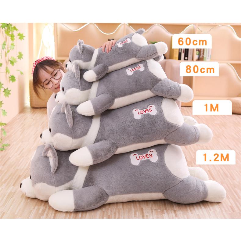 犬のキャラクター ぬいぐるみ 約20cm Amazon.co.jp: 千葉土建キャラクター ピー犬君 ぬいぐるみ