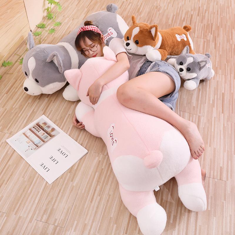 犬のキャラクター ぬいぐるみ 約20cm Amazon.co.jp: 千葉土建キャラクター ピー犬君 ぬいぐるみ
