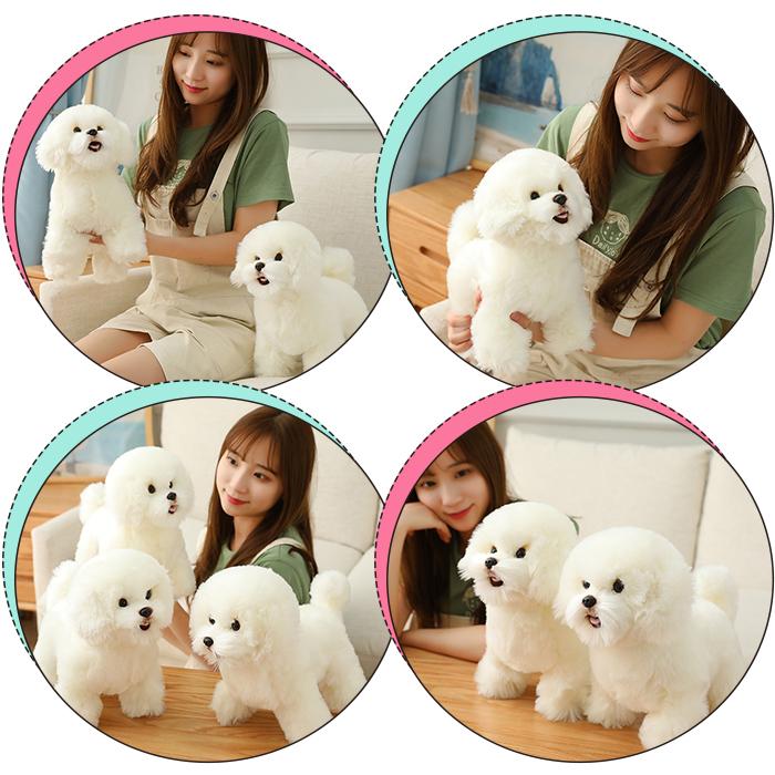 ぬいぐるみ いぬ ビションフリーゼ 犬イヌ 動物 リアル アニマル