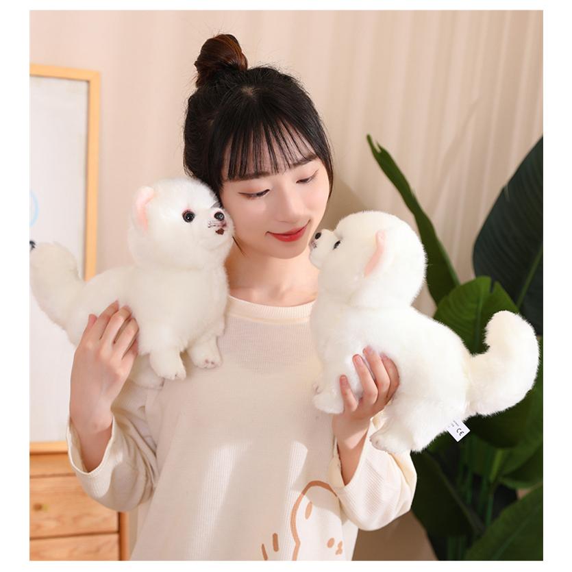 ぬいぐるみ ポメラニアン 犬 リアル 本物そっくり 生々しい いぬ 抱き