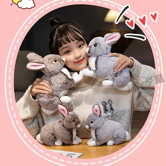 458  うさぎのぬいぐるみ 71xM0GVhRML._AC_UL210_SR210,