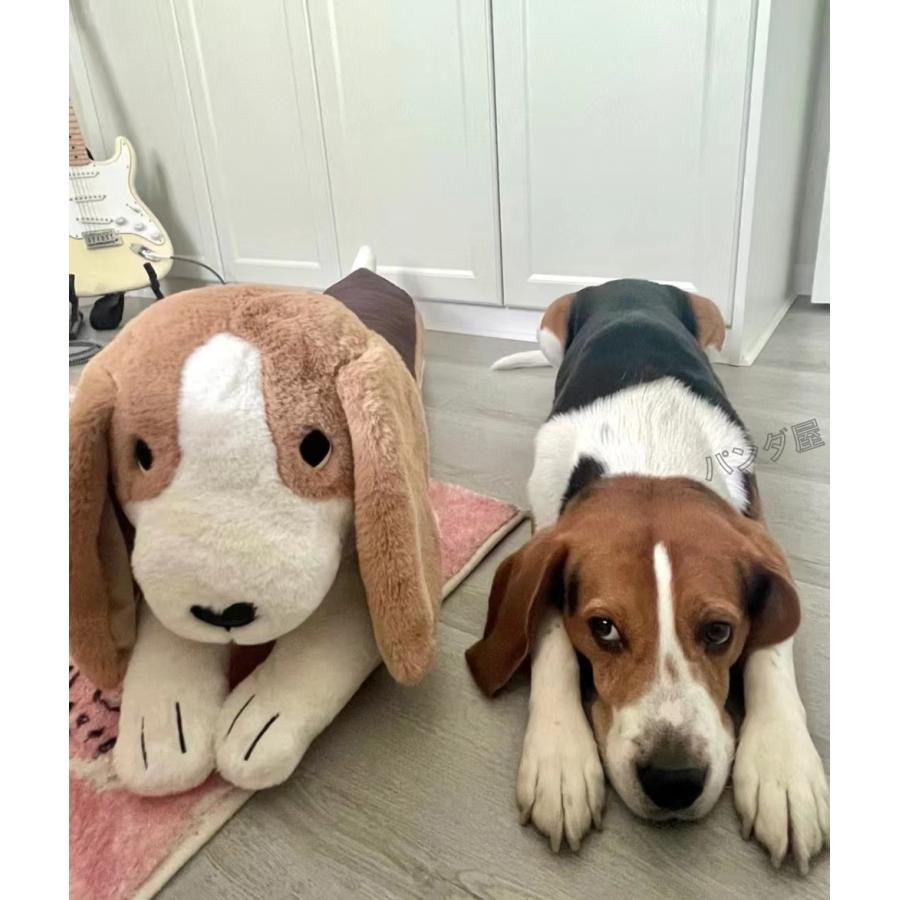 Amazon.co.jp: Aoriher 18個 ミニぬいぐるみ 犬 バルク 子犬