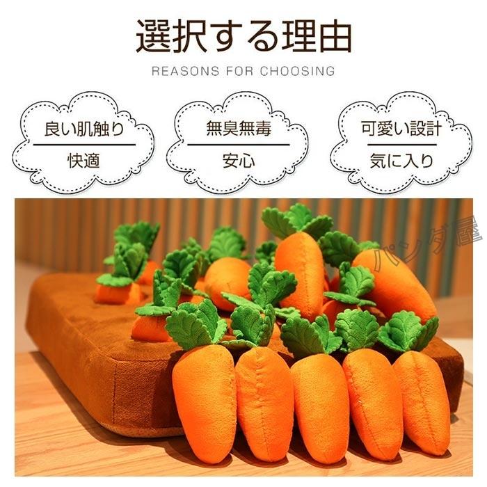 にんじん畑 犬 おもちゃ にんじん収穫隊ノーズワークマット犬 知育玩具 人気 ペット用 犬用品 運動不足 ストレス解消 プレゼント 35 35cm Pd Carrot158 パンダ屋 通販 Yahoo ショッピング