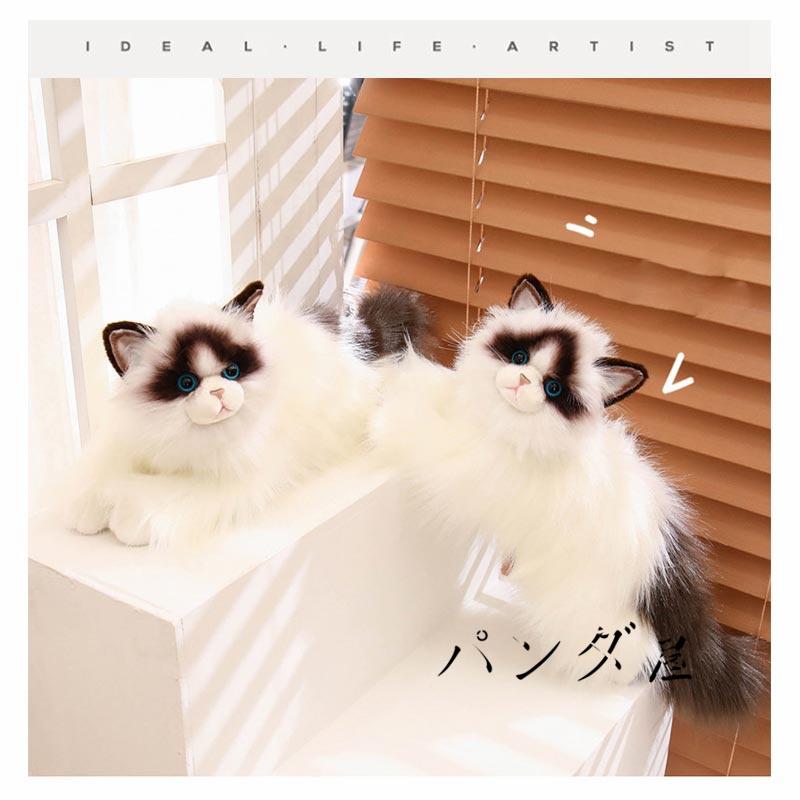 リアル猫　ぬいぐるみ　ラグドール Amazon.co.jp: ZHONGXIN MADE ラグドールキャットプラッシュ