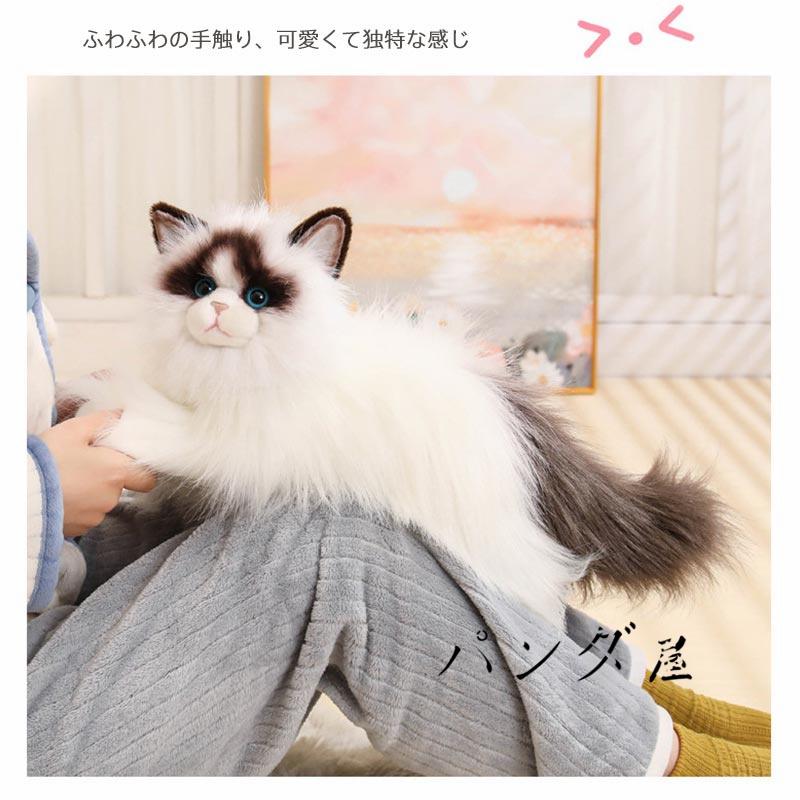 リアル 猫のぬいぐるみ ラグドール 50cm かわいい 本物みたいな癒し系