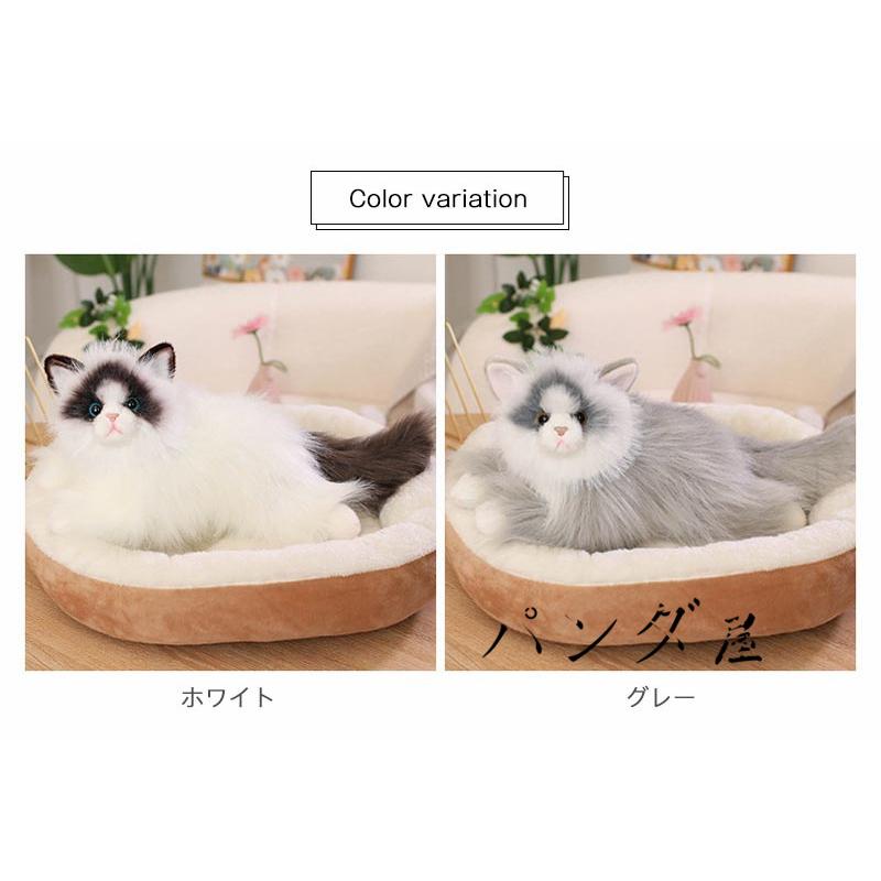 リアル 猫のぬいぐるみ ラグドール 50cm かわいい 本物みたいな