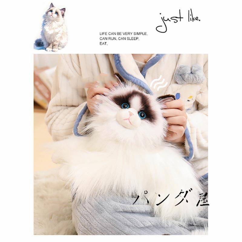 リアル猫　ぬいぐるみ　ラグドール Amazon.co.jp: ZHONGXIN MADE ラグドールキャットプラッシュ