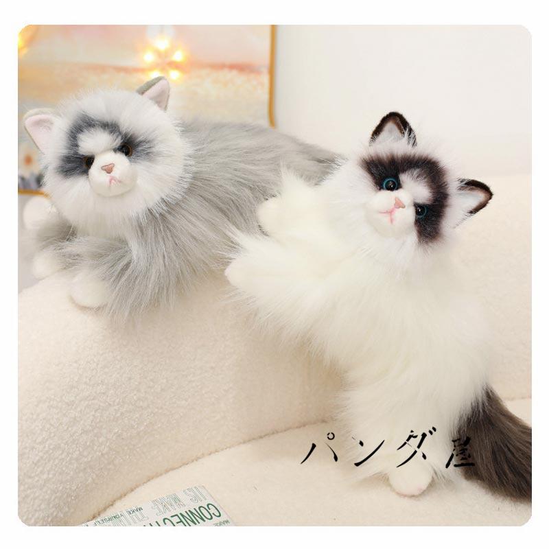 リアル 猫のぬいぐるみ ラグドール 50cm かわいい 本物みたいな癒し系