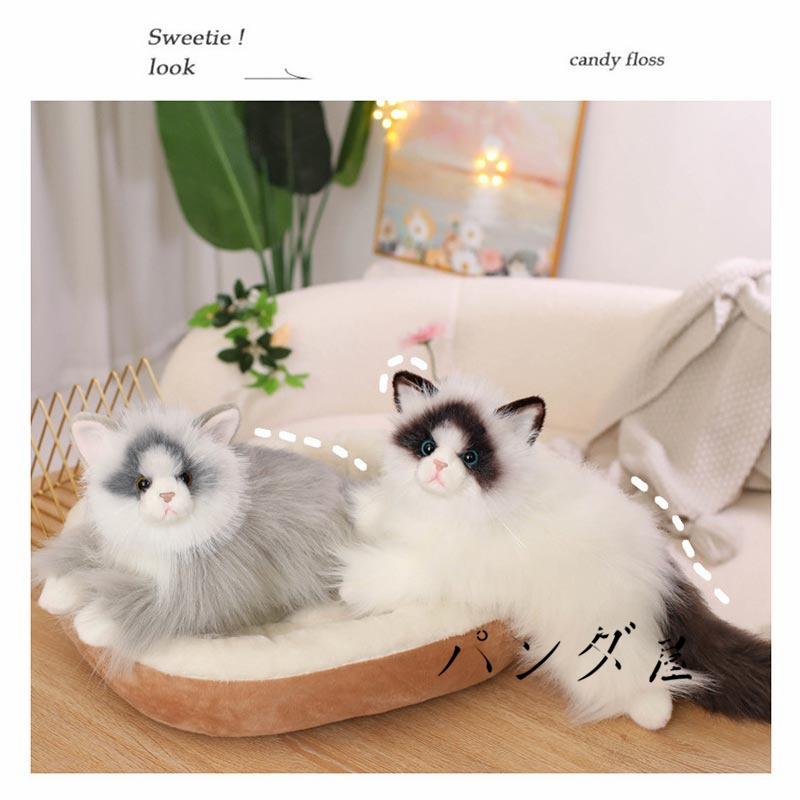 リアル 猫のぬいぐるみ ラグドール 50cm かわいい 本物みたいな