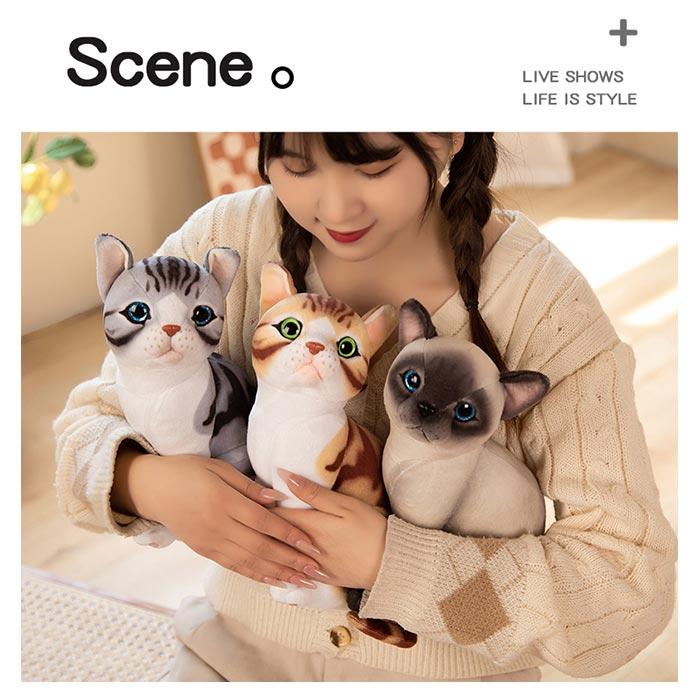 猫ひた 小林希大 8周年&9周年 グッズ セット おまけ付き 数量限定価格 日本製 猫タワー ミニ 猫グッズ おしゃれ 小型 猫