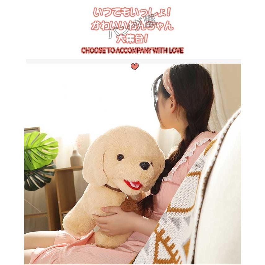 14種類 犬 ぬいぐるみ リアル 仔犬 可愛い イヌ いぬ 抱き枕 アニマル