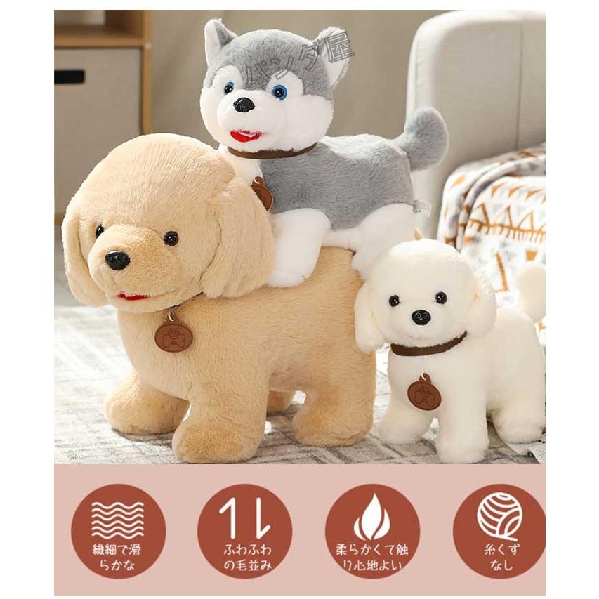 うるうるお目目のワンワン テディベア パピー ぬいぐるみ 犬 海外作家様 楽天市場】ぬいぐるみ 犬 いぬ ビションフリーゼ パプス 犬の