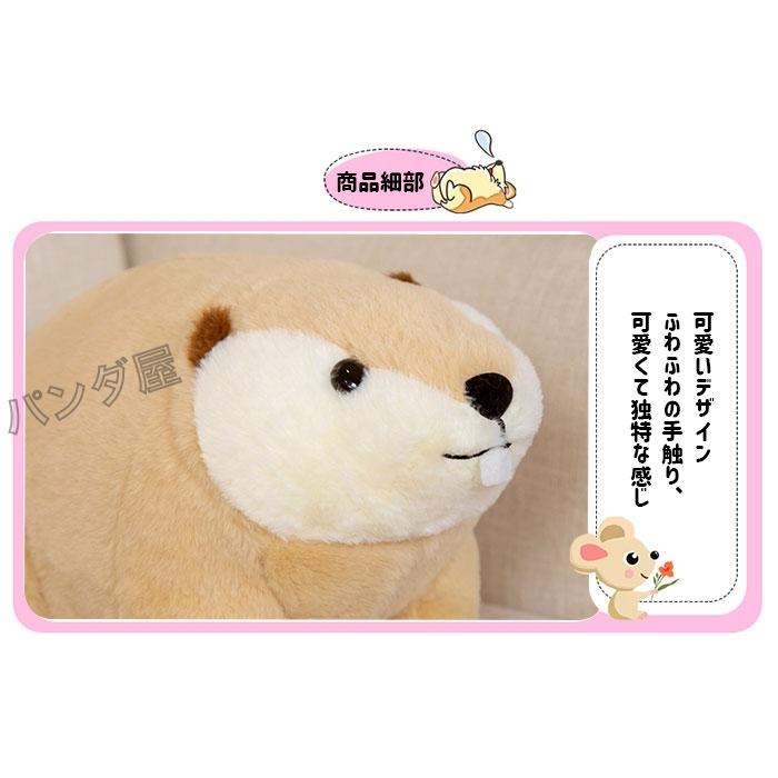 ぬいぐるみ ビーバー ネズミ 子供 抱き枕 グッズ おもちゃ 雑貨 キッズ