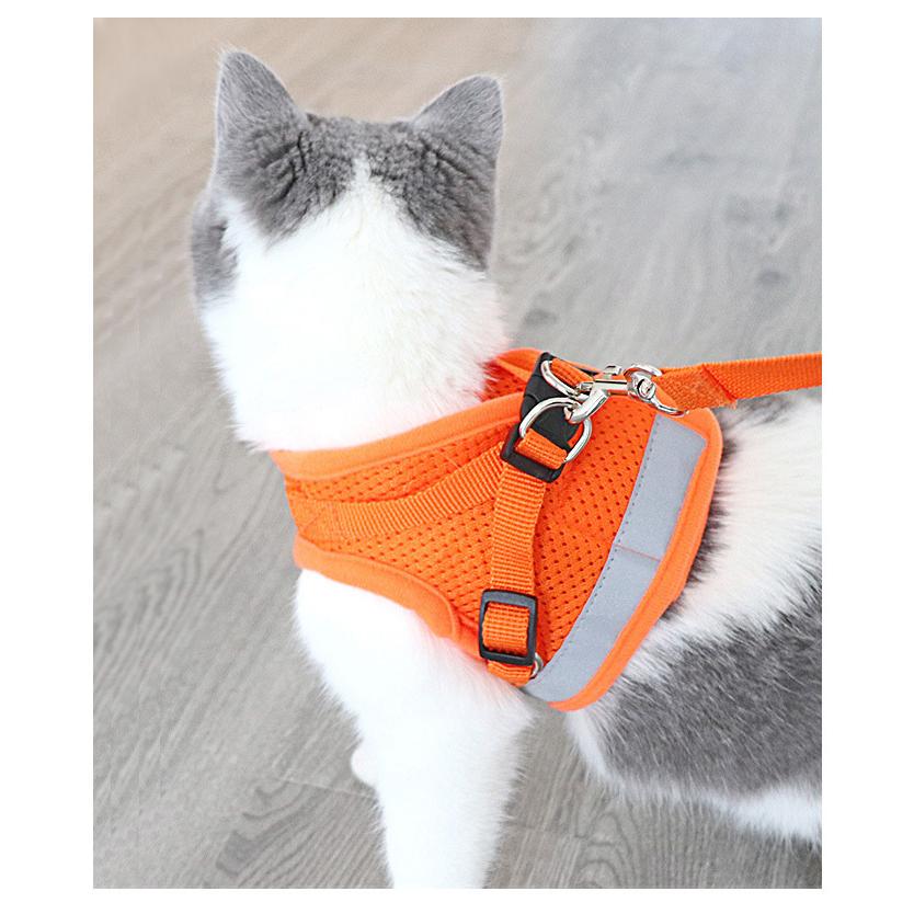 ハーネス リード付き ベスト型 SS犬用 猫用 メッシュソフトハーネス