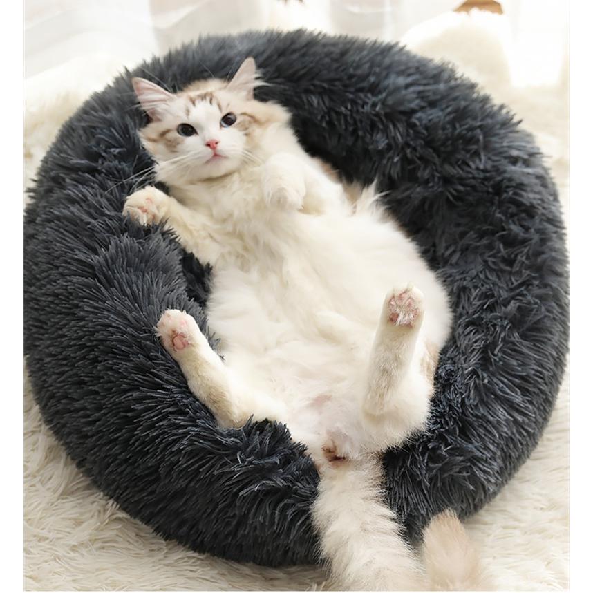 販売 猫用ベッド ペットベッド 小型犬 猫 ペット用品 ネコ ベッド 室内 ペットハウス 猫ベッド 犬用 おしゃれ 保温 防寒 Mサイズ直径50cm fundaterapia.com 販売 猫用ベッド ペットベッド 小型犬 猫 ペット用品 ネコ ベッド 室内 ペットハウス 猫ベッド 犬用 おしゃれ 保温 防寒 Mサイズ直径50cm fundaterapia.com