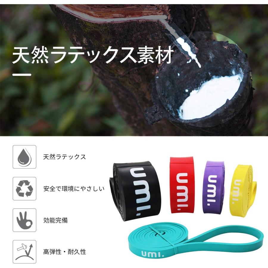 トレーニングバンド フィットネスチューブ レジスタンスバンド 懸垂