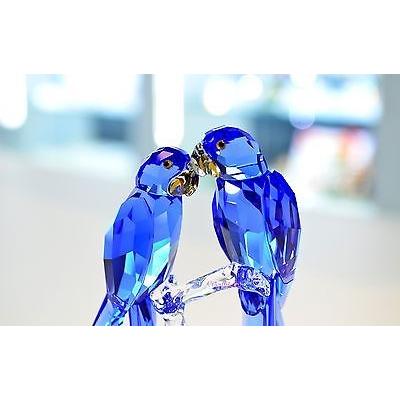 最旬ダウン スワロフスキ フィギュア  5004730 Couple Bird ブルー Macaws Hyacinth SCS 2014 その他インテリア雑貨、小物