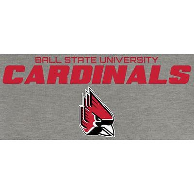 楽天ランキング1位 ファナティックス ブランディッド カレッジ 大学 スポーツ Ncaa アメリカ Usa 全米 Ball State Cardinals Ash On Point Big Tall スゥエットシャツ E パンダストア 通販 Yahoo ショッピング 最も優遇 Www Doctor Plan Com