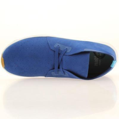 珍しい Apollo Men Native ネイティブ メンズ スニーカー Chukka 4361 White Shell Victoria Blue スニーカー 重要 発送についてご確認ください 海外買付検品後 国内から発送いたします