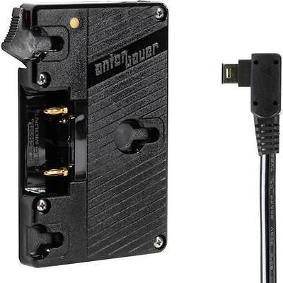 カメラ 充電器 写真 Fs700 フォトアクセサリー カメラアクセサリー 充電器 クレードル Wooden Camera Gold Mount