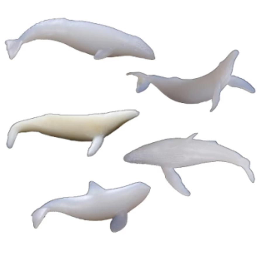 クジラ フィギュア 鯨  ホエール 海 置物 セット ホワイト 白 5個 インテリア 白