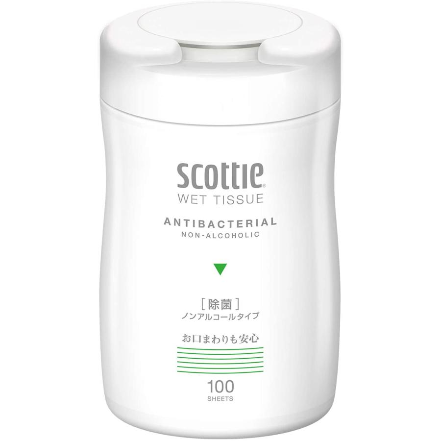 携帯用 大容量 100枚入 除菌 日常使い 消毒 ノンアルコールタイプ 手指の消毒 スコ  100枚入