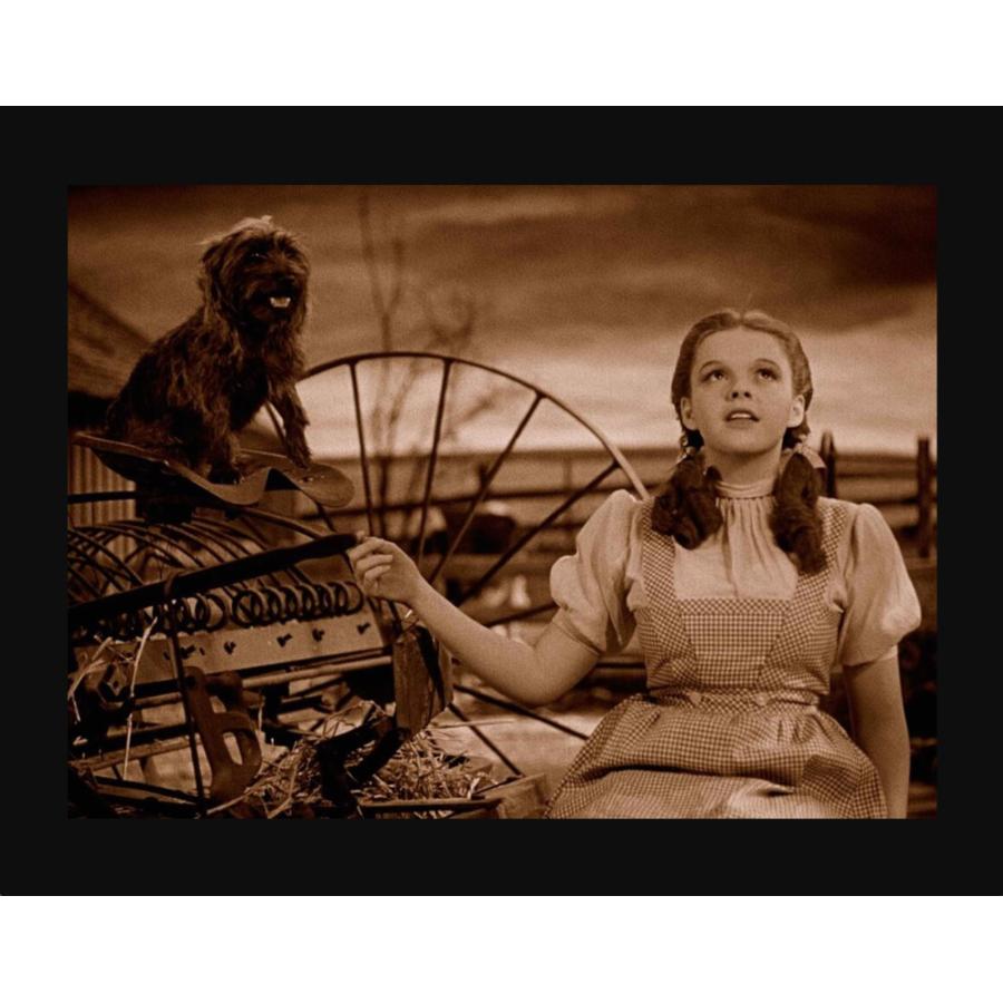 オズの魔法使い The Wizard of Oz Blu-ray 北米輸入盤 名作 洋画