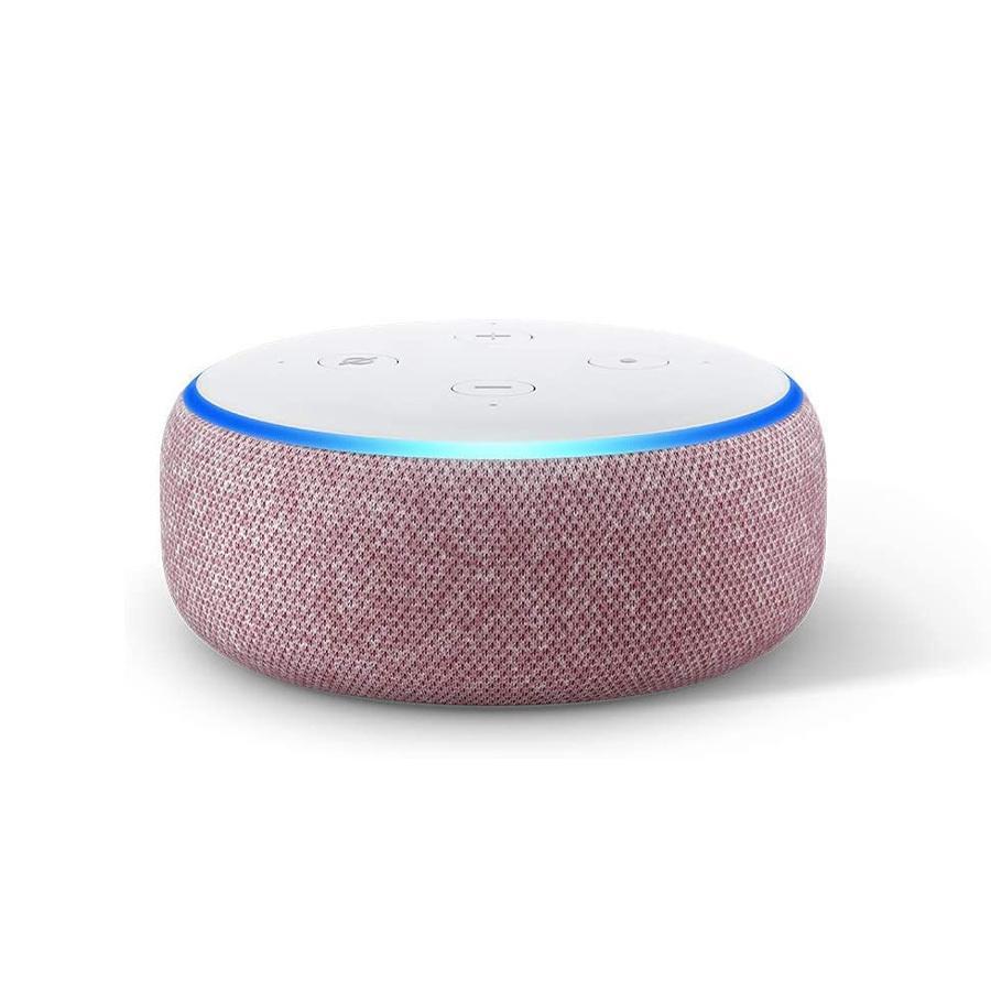 Echo Dot 第3世代 チャコール 開封品 - スピーカー・ウーファー