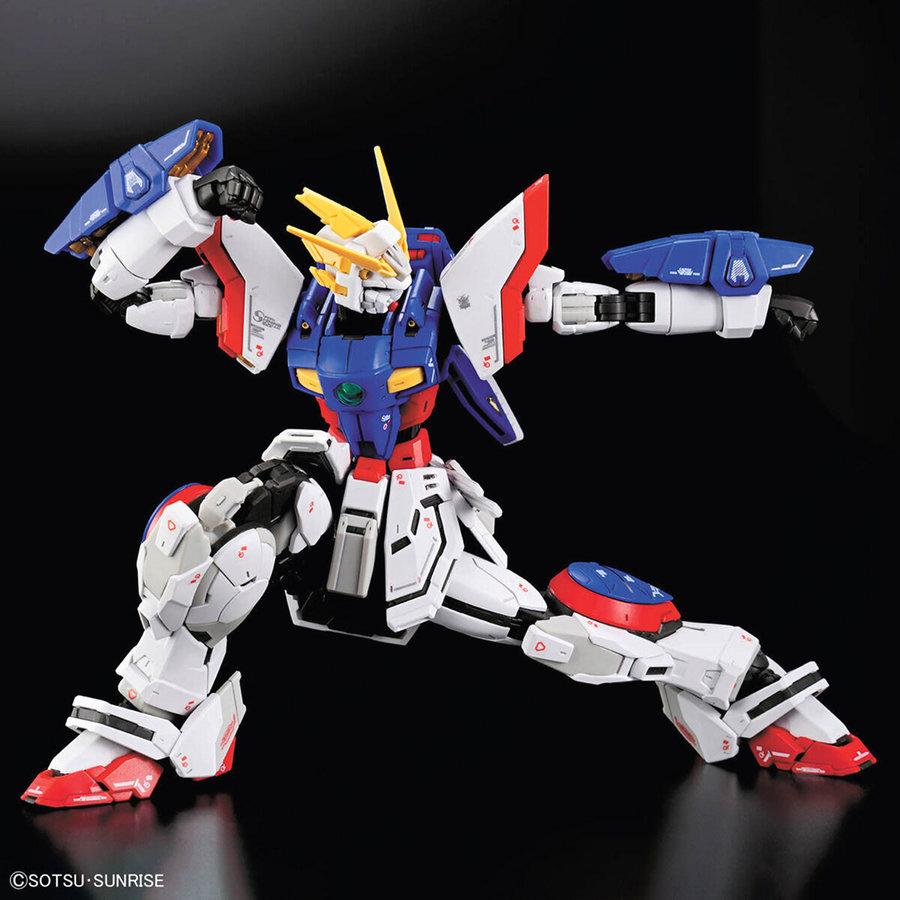 BANDAI（バンダイ） 【即納新品】RG 1/144 シャイニングガンダム 機動