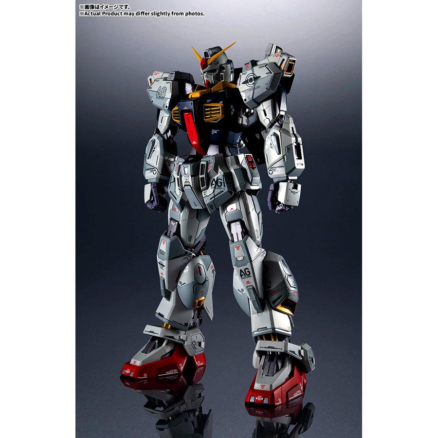 BANDAI（バンダイ） 【27.01月新発売】TAMASHII NATIONS METAL