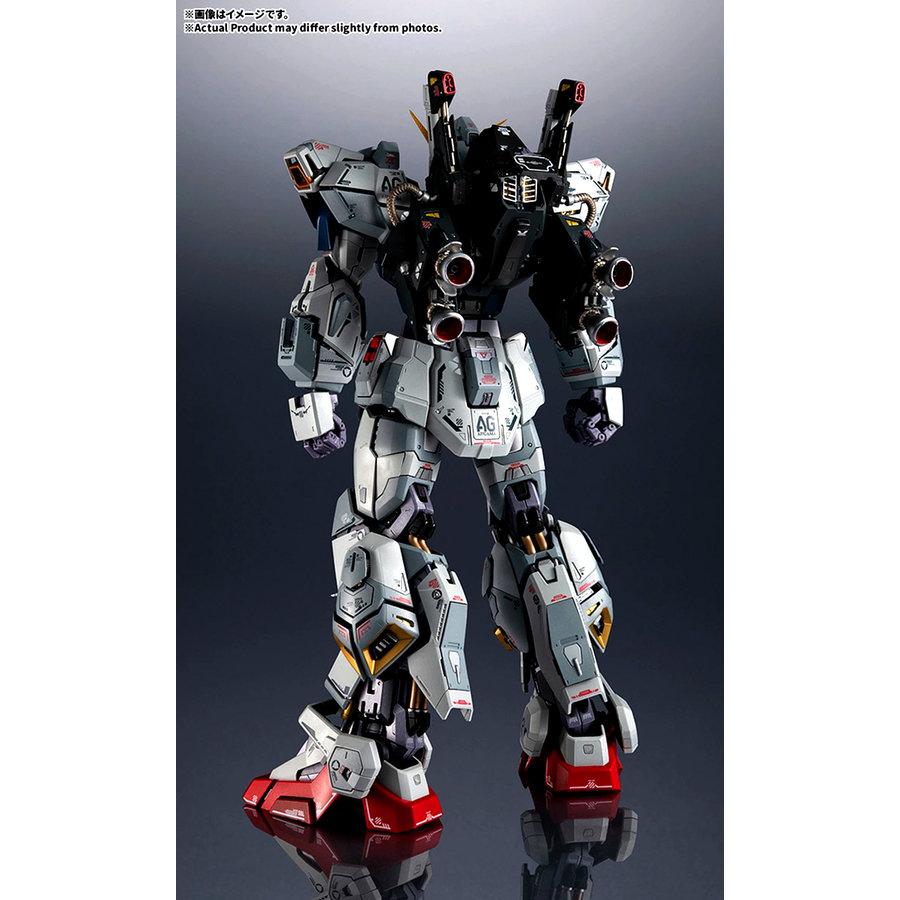 BANDAI（バンダイ） 【27.01月新発売】TAMASHII NATIONS METAL