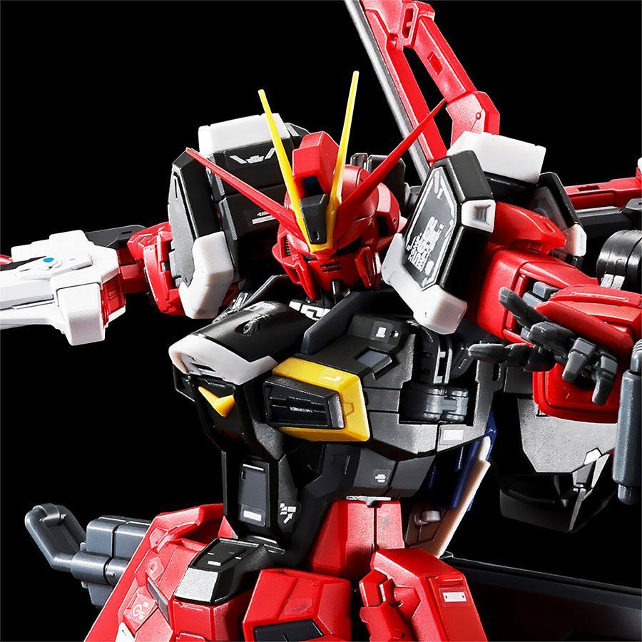 BANDAI（バンダイ） 【即納新品】RG 1/144 ソードインパルスガンダム